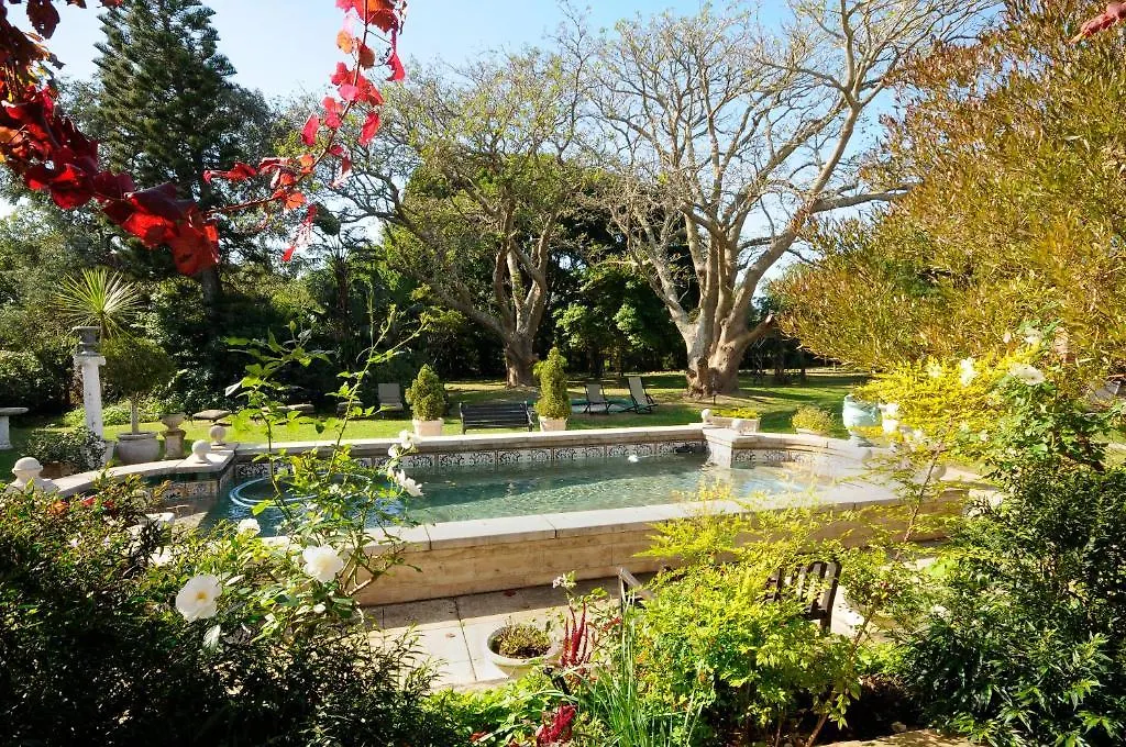 Forest Hall Guest House Port Elizabeth